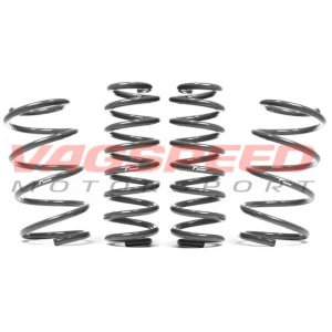 Kit de muelles rebajados Racingline – VW Golf 5 R32 | Golf 6R