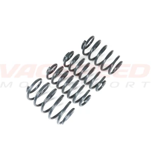 Muelles Racingline para Golf 7 GTI