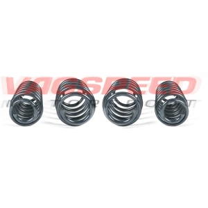 Muelles Racingline para Golf 7 GTI