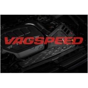 Tapa Admisión APR 2.0T EA888 MQB EVO 4 Carbono