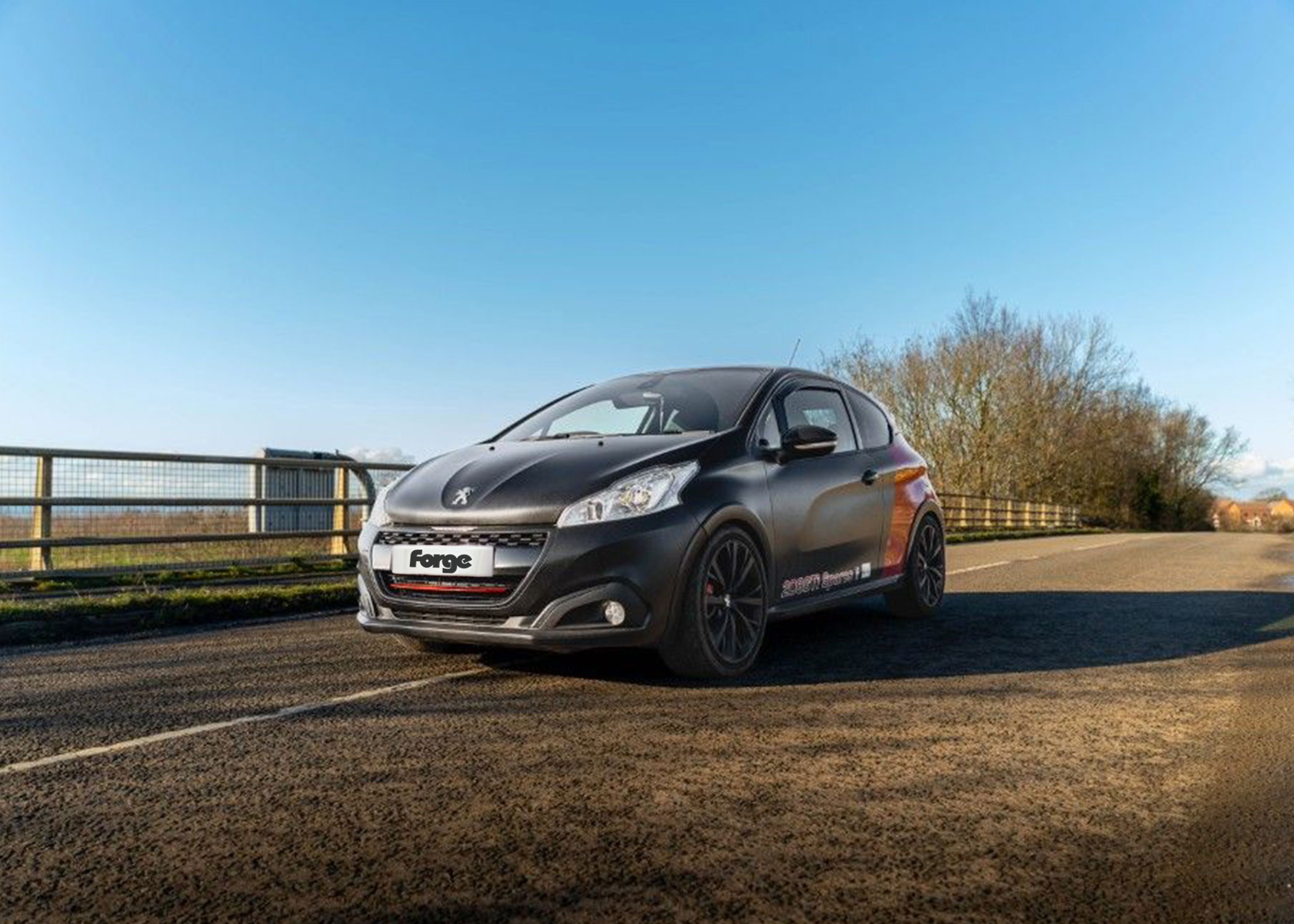 Software de rendimiento ECU Rendimiento Peugeot 208 GTI/Citroën DS3