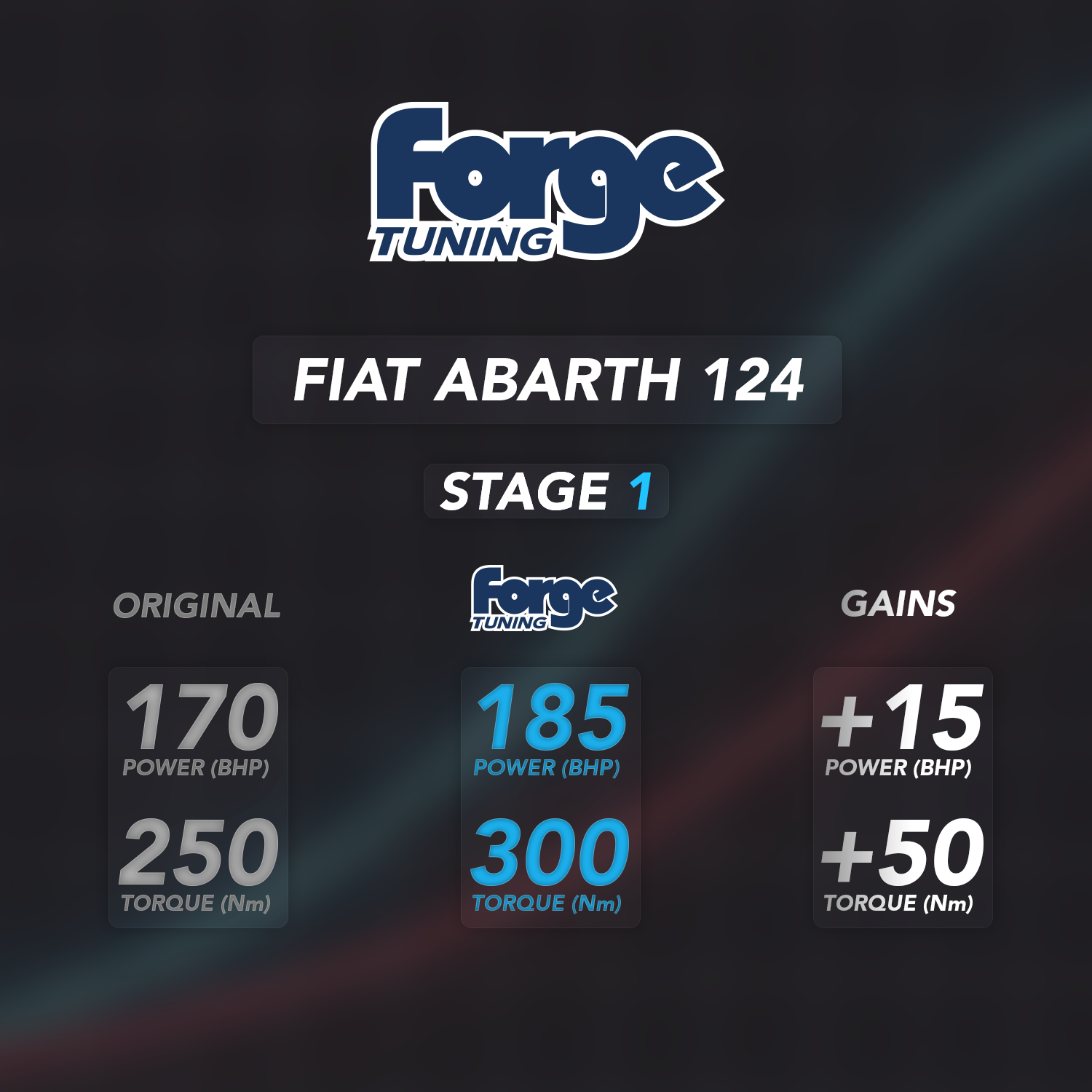 Software de rendimiento de ecus para Fiat 124/Abarth 124