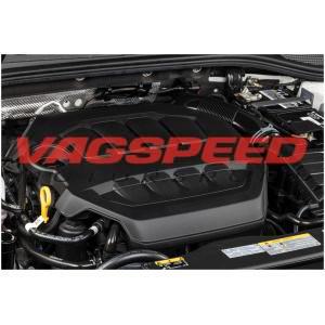 Tapa de motor carbono APR – 2.0T EA888 EVO4