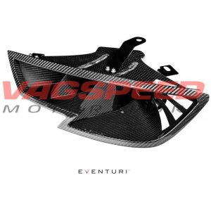 Conducto de admisión de carbono para faro delantero RS3 8VFL