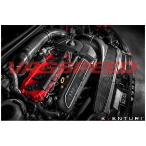 Audi RS3 8V Pre Facelift – Sistema de admisión de carbono Eventuri