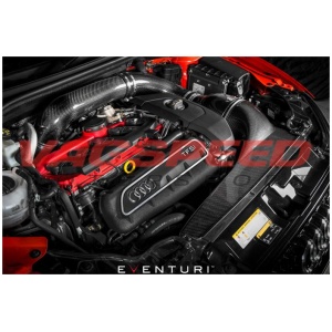 Audi RS3 8V Pre Facelift – Sistema de admisión de carbono Eventuri