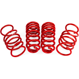 Muelles de descenso APR Roll-Control – MK8 Golf R