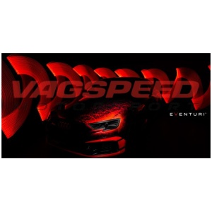 Conducto de admisión de carbono para faro delantero RS3 8VFL