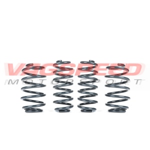 Muelles Racingline para Golf 7 GTI