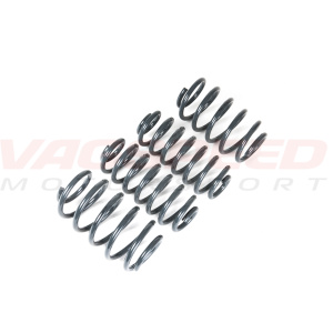 Muelles Racingline para Golf 7 GTI